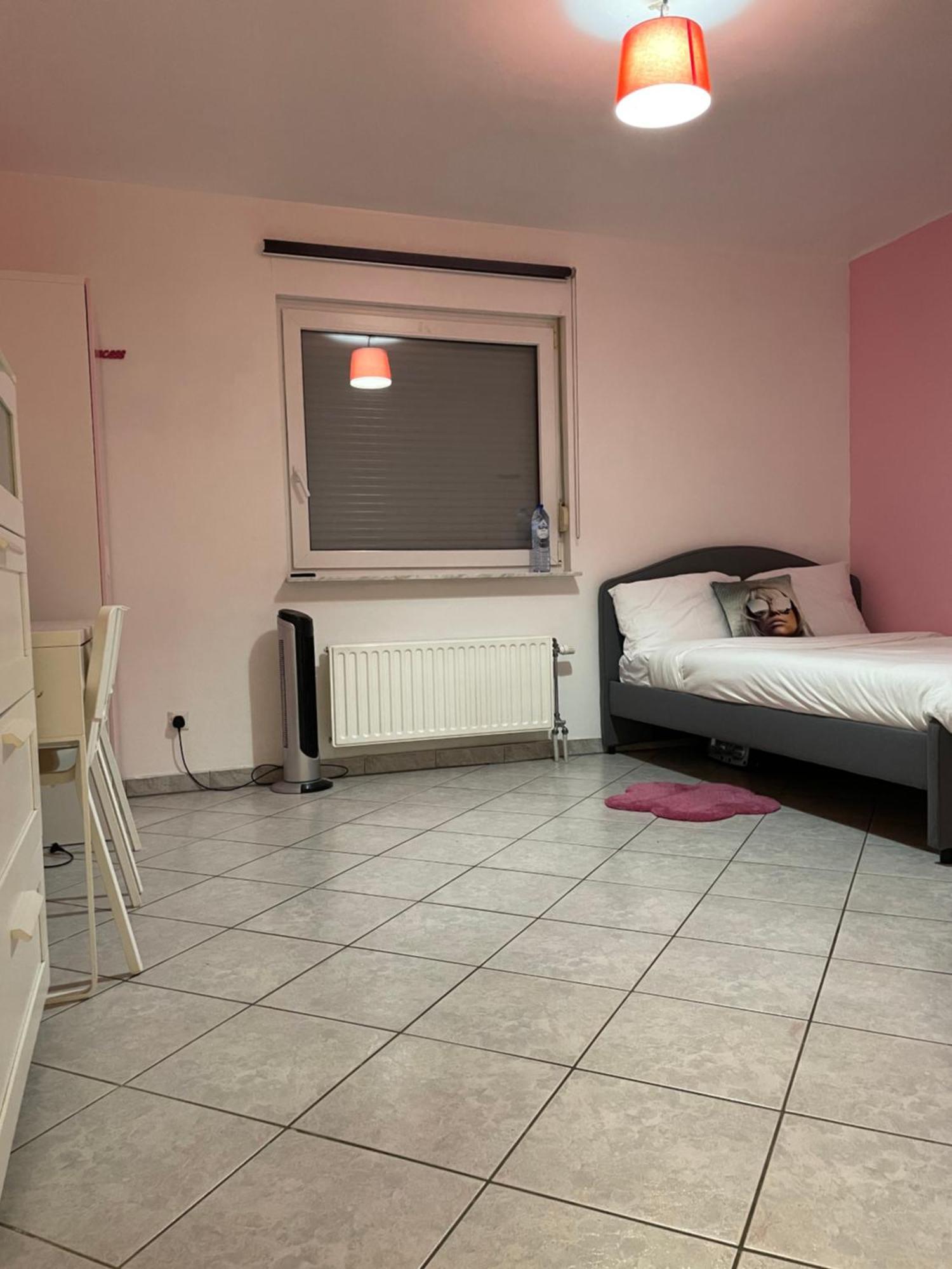 לוקסמבורג Large Room In Schuttrange Free Parking 10Mins To Airport Excellent Customer Services מראה חיצוני תמונה