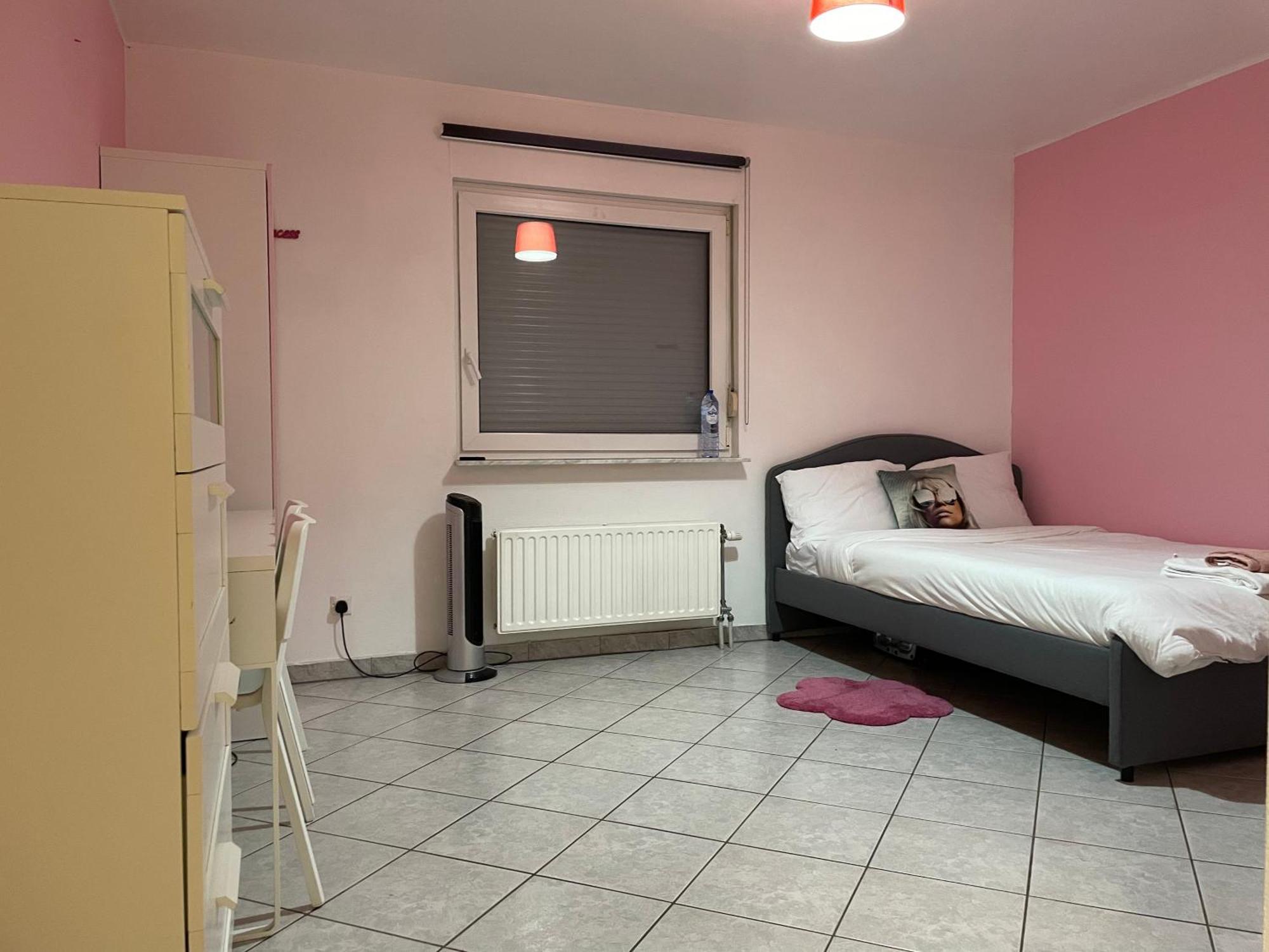 לוקסמבורג Large Room In Schuttrange Free Parking 10Mins To Airport Excellent Customer Services מראה חיצוני תמונה